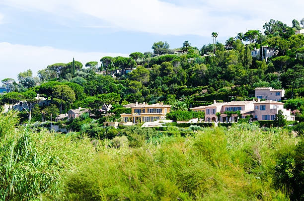 istock Frontage of a good green panorama 494154492