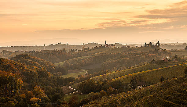 jeruzalem 슬로베니아에 - slovenia vineyard grape jeruzalem 뉴스 사진 이미지