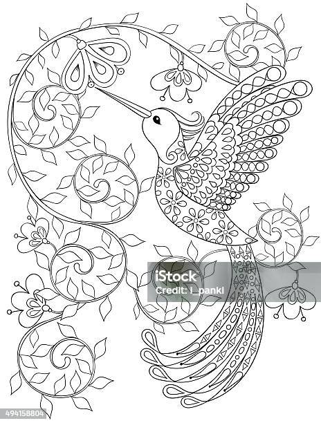 Page De Coloriage Avec Des Oiseaux De Vol Colibri Zentangle Pour Adulte Vecteurs libres de droits et plus d'images vectorielles de Adulte