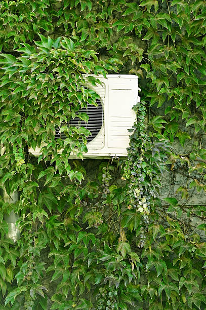 istock Green ivy on a wall with air conditioner 494160284