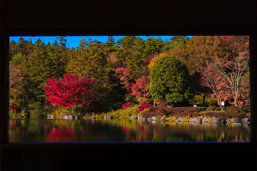 Colorful autumn season in garden with frame.