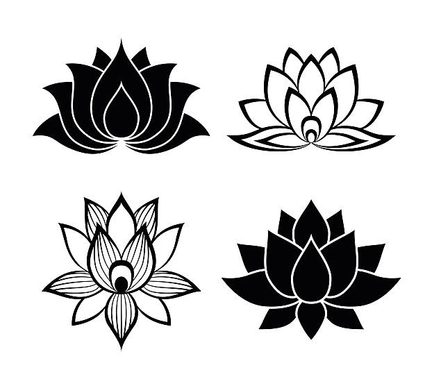 lotus flower признаки набор - вода lily stock illustrations