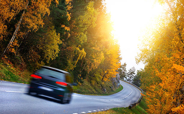 istock Car on the road in the fores 494163132
