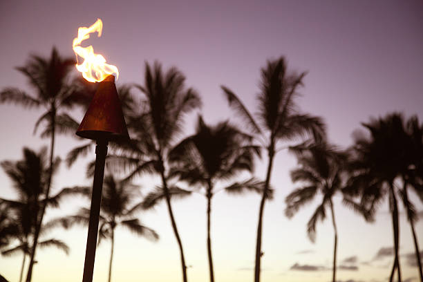 istock Torchlight in Resort island sunset 494166744