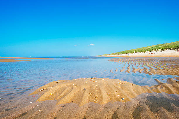North Sea along a sunny beach in spring