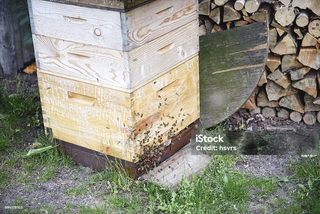 Beehives - Royalty-free Abelha Foto de stock