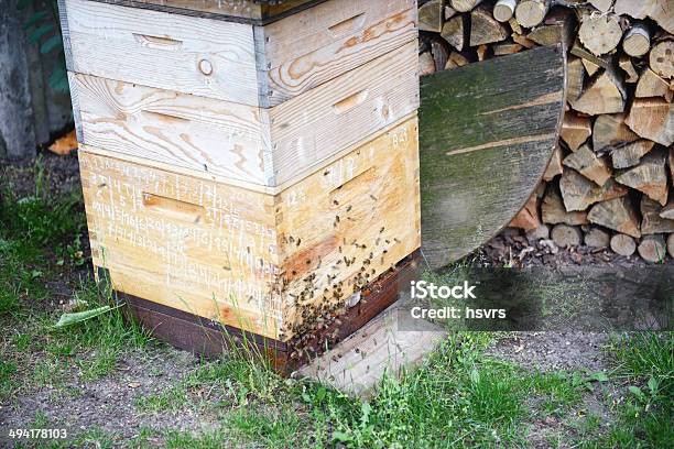 Beehives - Fotografias de stock e mais imagens de Abelha - Abelha, Agricultura, Amarelo