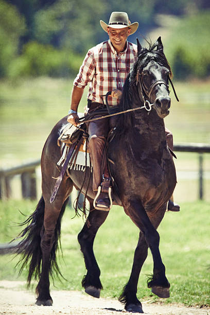 istock Come on old girl 494181985