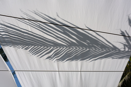 Palm Leaf Tree Abstract Sunlight Summer Background Tropical Striped Pattern Shadowplay Dappled Light Shadow Play Macro Photography