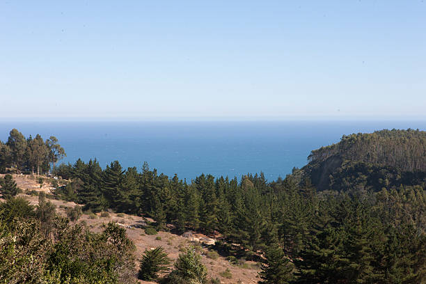 beautiful view of the Pacific Ocean