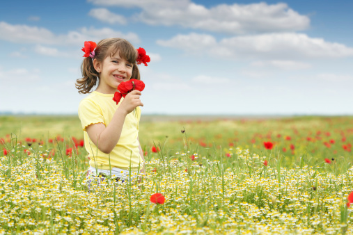 Beautiful little child girl in dress picking flowers in poppy field.