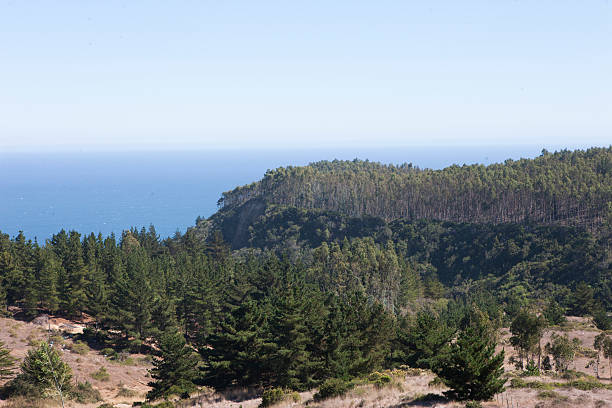istock beautiful view of the Pacific Ocean 494183290