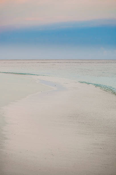 istock beach in the Maldives 494183625