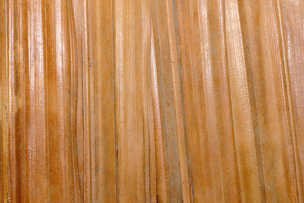 istock brown nipa leaves grunge background texture 494183836