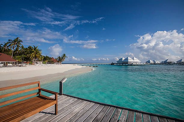 istock beach in the Maldives 494184565