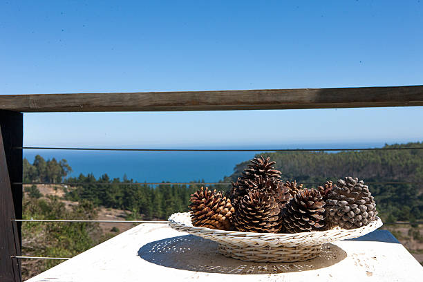 beautiful view of the Pacific Ocean