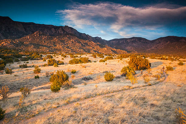 istock landscape sunset mountain biking 494184897