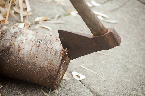 Axe cut in the chopping block, forest green background. Lumber jacks wood cutting work tool.