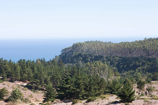 istock beautiful view of the Pacific Ocean 494189644