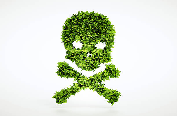 Eco skull and cross bones sign