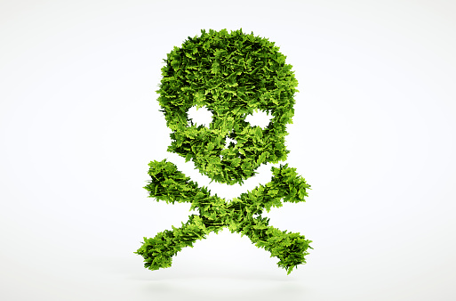 Eco skull and cross bones sign - with included clipping path