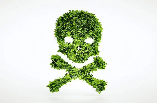 Photo of Eco skull and cross bones sign