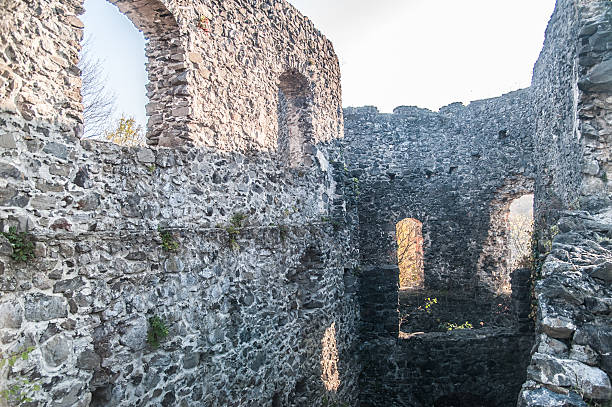istock Castle in village Nevicke, Ukraine 494191292