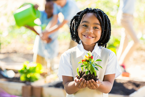 African American elementary age little girl is smiling and looking at the camera. She is holding a pepper plant that she is preparing to plant in soil in the school garden during an outdoor science class. Her classmates are using watering cans and gardening tools in the background. Students are wearing private school uniforms.