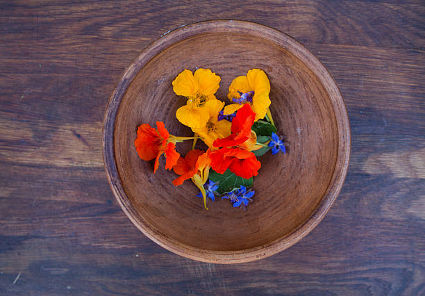 Colorful edible flowers in clay bowl on wooden background Colorful edible flowers in clay bowl on wooden background. Bright nasturtium flowers with leaves and borage. Healthy organic food. tropaeolum majus garden nasturtium indian cress or monks cress stock pictures, royalty-free photos & images