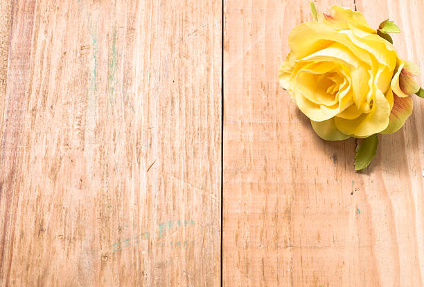 Yellow color, single rose flower on a brown, vintage wooden planks background useful as wedding invitation, greeting card, valentine card, or invitation card.