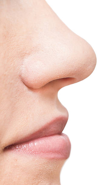 femme visage - nez humain photos et images de collection