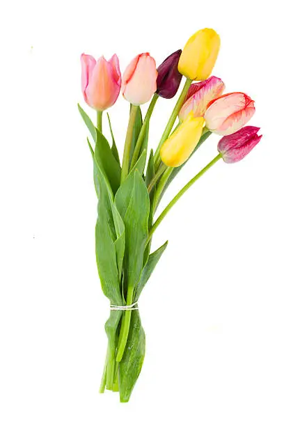 Photo of Posy of tulips flowers