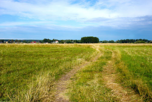 View of beautiful agricultural fields with clear blue sky in England