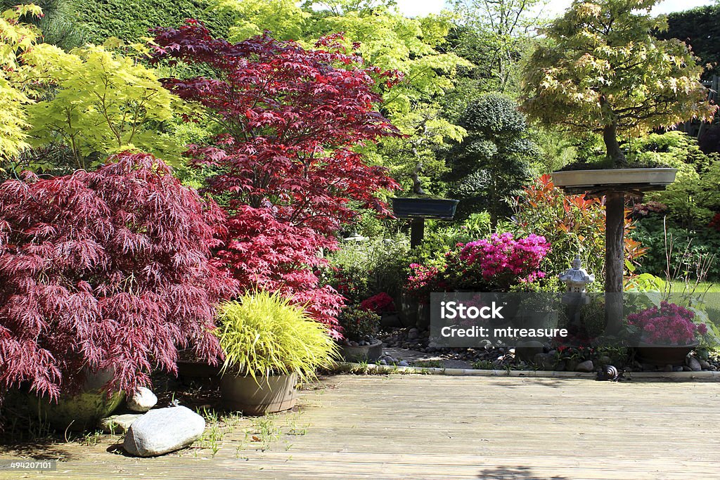 Imagem do jardim japonês com árvores bonsai, de maples (acers), terraço - Foto de stock de Jardim ornamental royalty-free