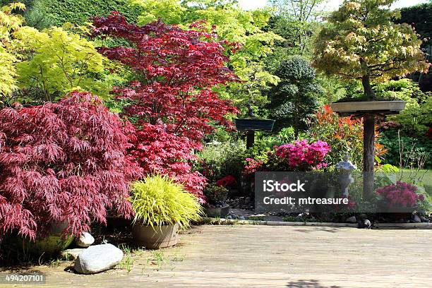 Foto de Imagem Do Jardim Japonês Com Árvores Bonsai De Maples Terraço e mais fotos de stock de Jardim ornamental