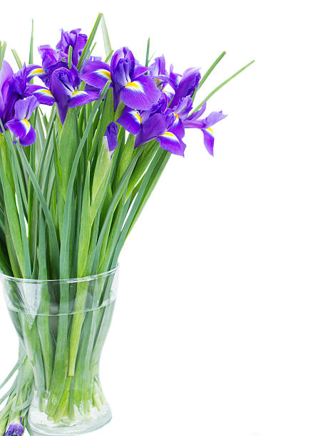 istock blue irise flowers posy in vase 494208323