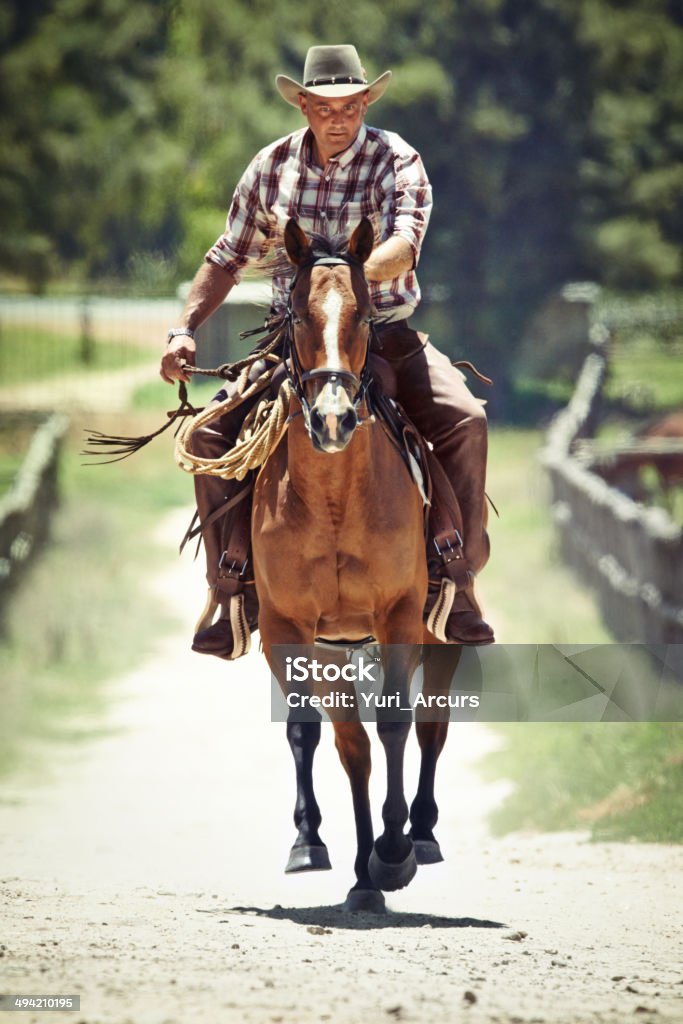 Riding full tilt A cowboy on his horsehttp://195.154.178.81/DATA/i_collage/pi/shoots/783278.jpg Cowboy Stock Photo