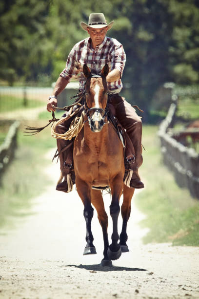 passeio cheio de inclinação - horseback riding cowboy riding recreational pursuit - fotografias e filmes do acervo