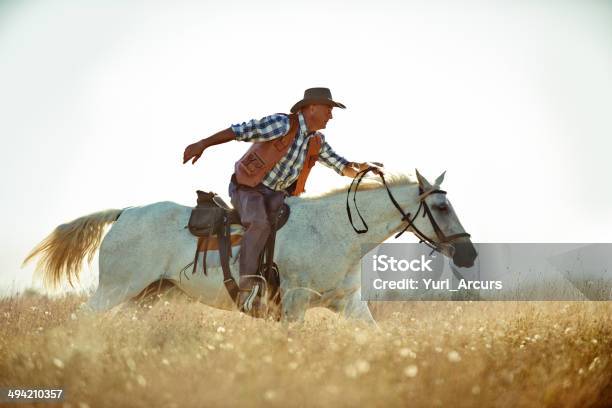 Foto de O Pony Express e mais fotos de stock de Cavalgar - Cavalgar, Velocidade, Homens