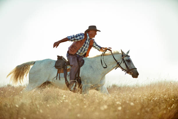 the pony express! - side view southwest usa horizontal sun стоковые фото и изображения