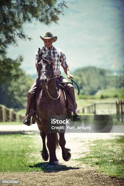 Photo libre de droit de Elle A Été Une Longue Journée De Promenade banque d'images et plus d'images libres de droit de Monter à cheval - Monter à cheval, Activité de loisirs, Adulte