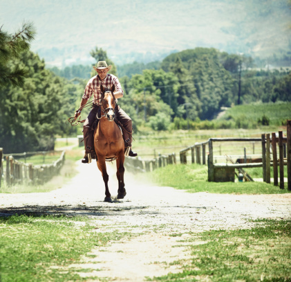 A cowboy riding his horse on a country lane