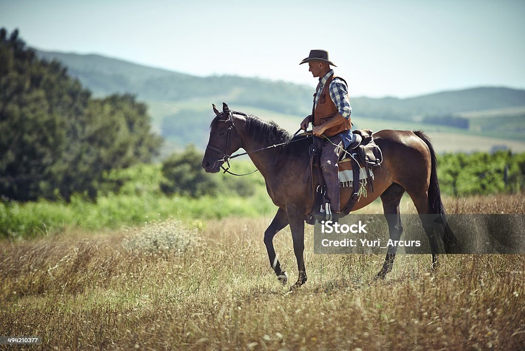 Он с lone rider - Стоковые фото Лошадь роялти-фри