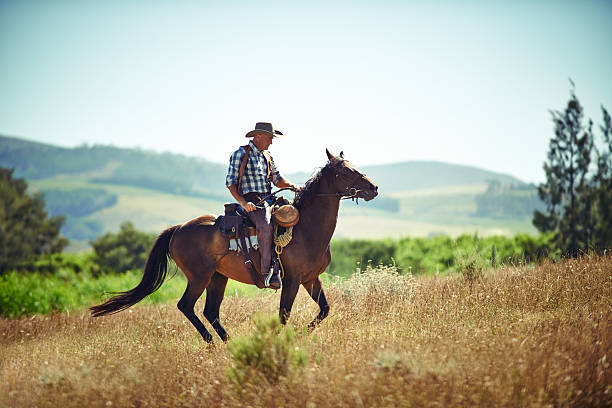 istock Horseback riding is his passion 494210391