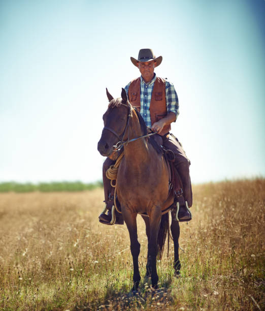 i'm законом "круглых этих частей - horseback riding cowboy riding recreational pursuit стоковые фото и изображения