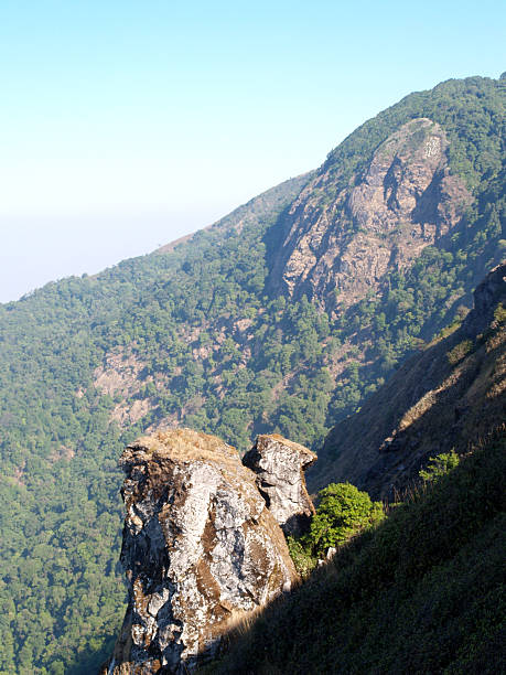 istock mountain,  doi inthanon national park, chiangmai , Thailand 494211513