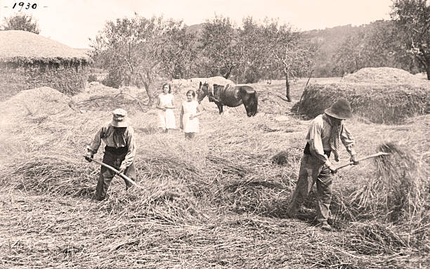 alten bauern - 1930s style stock-fotos und bilder