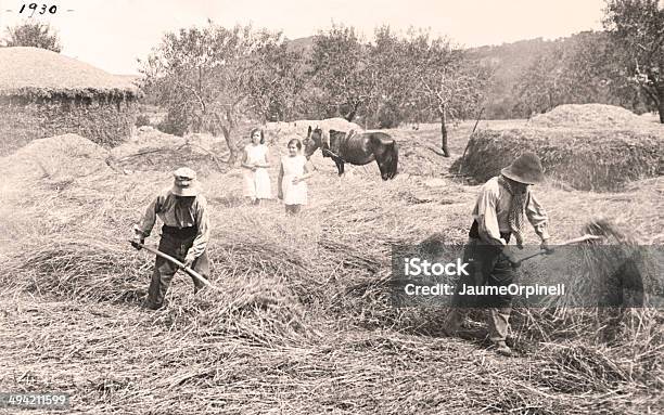 Old Farmers Stock Photo - Download Image Now - The Past, Old, Old-fashioned