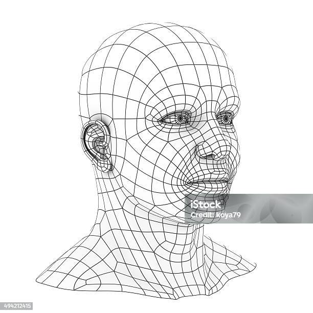 Human Head 3d Wireframe Stock Photo - Download Image Now - Abstract, Anatomy, Artificial