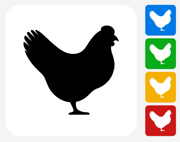 kurczak ikona płaskie projektowania graficznego - kura zwierzę płci żeńskiej stock illustrations